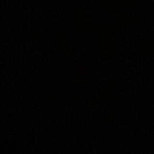 Meet your Posher, Isabella